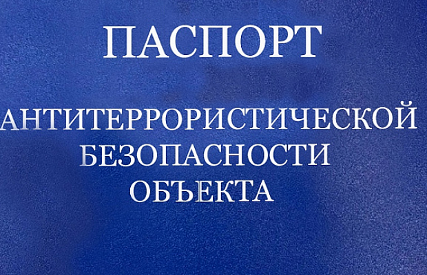 Разработка ПАТЗ