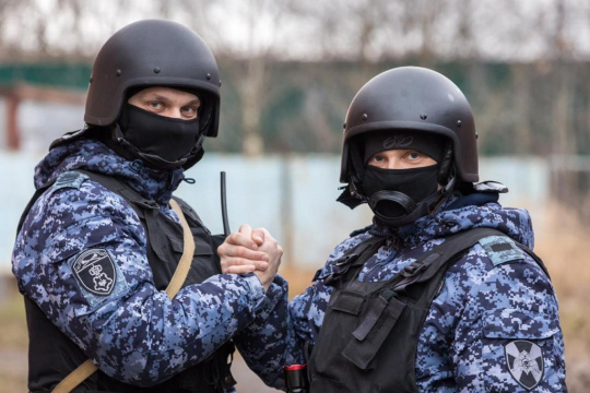 Какие полномочия имеют сотрудники вневедомственной охраны при задержании нарушителя