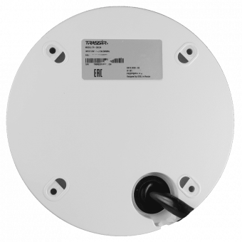 поворотная ip-камера trassir tr-d5124